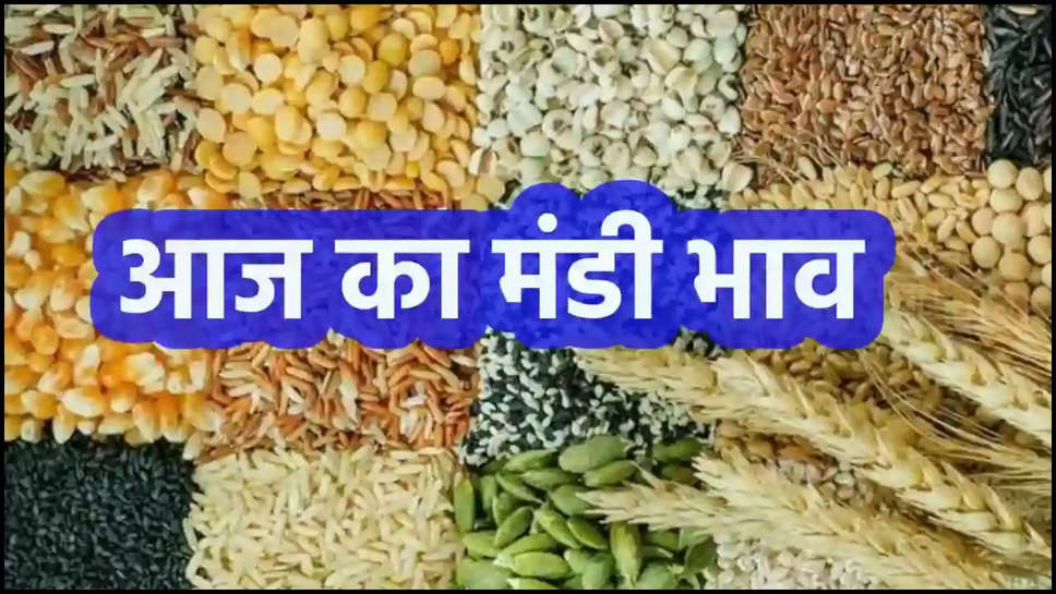 rajasthan ,mandi bhav ,mandi rates ,rajasthan mandi bhav ,saturday ,3 august 2024 ,sarson ,musturd ,kapaas ,jeera ,onion ,rates ,price ,jaipur ,tonk ,merta ,kota ,gawaar ,sarson ka bhaav ,mustard price Today ,aaj sarson ka bhav ,Aaj ka Mandi Bhav ,aaj ka mandi bhav rajasthan ,Barmer mandi bhav ,Bikaner Mandi Bhav ,chana ka bhav ,Gehu Ka Bhav 2024 ,Gwar ka Bhav ,Jaipur Mandi Bhav Jaipur today news ,Jau Ka Bhav 2024 ,Jeera Ka Bhav 2024 ,Jodhpur Mandi Bhav ,Kota Mandi Bhav ,mandi bhav ,mandi bhav today ,Merta Mandi Bhav ,Methi ka Bhav 2024 ,Mung Ka Bhav 2024 ,Nagaur Mandi Bhav ,Narma ka Bhav ,Nokha mandi bhav ,Rajasthan Mandi Bhav ,rajasthan mandi bhav , today ,Sarso ka bhav ,Sikar Mandi Bhav ,sonf ka Bhav ,Soyabean Mandi Bhav ,Tonk Mandi Bhav ,