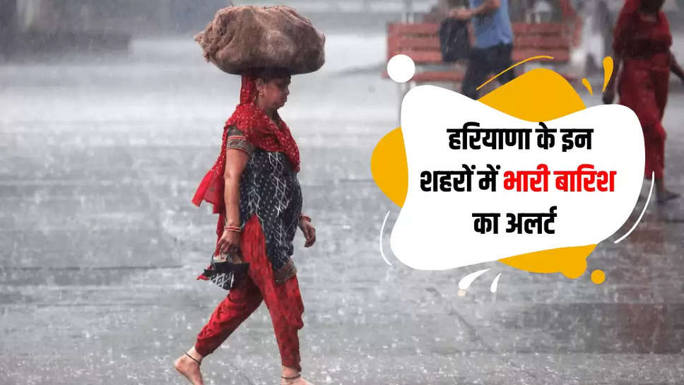 haryana weather update 