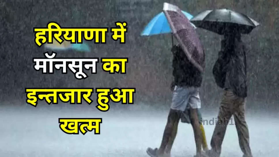 haryana weather update 