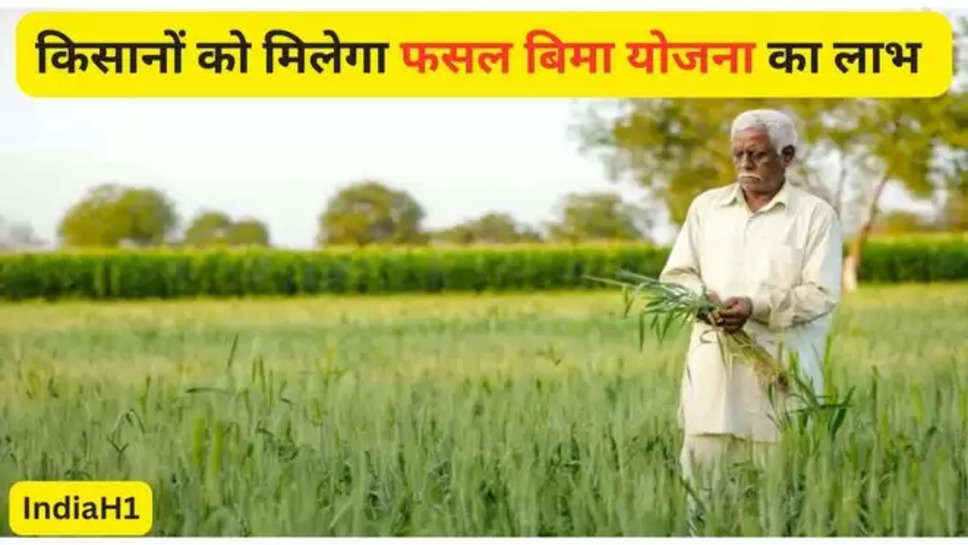 Fasal Bima Yojana, Crop Insurance Policy news, haryana crop insurance policy ,Crop Insurance Policy hindi, Fasal Bima Yojana hindi news, Bad news for farmers, karnal news,  haryana news, haryana hindi news, Fasal Bima Scheme, haryana farmers news,Haryana news , fasal bima yojana 2024 , हिंदी न्यूज़ , 