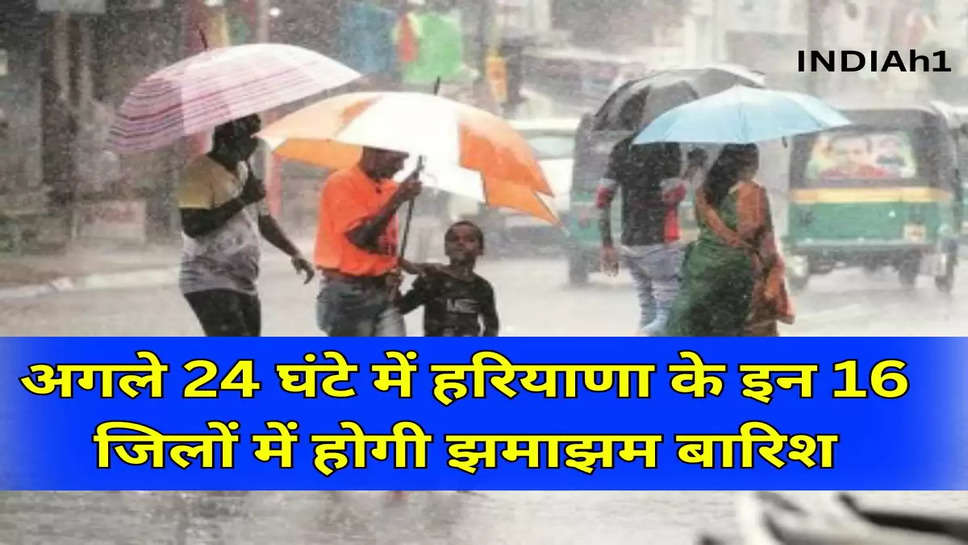 अगले 24 घंटे में हरियाणा के इन 16 जिलों में होगी झमाझम बारिश