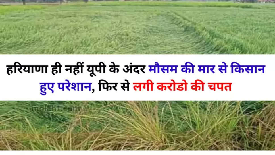 up farmer news