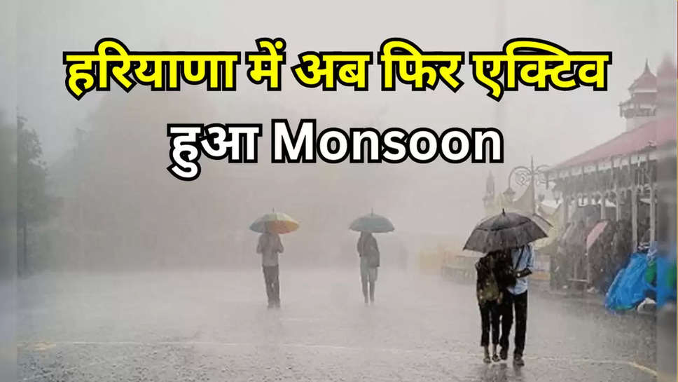 Haryana Weather Update