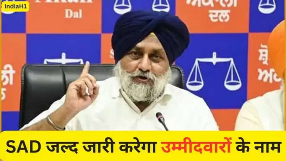 Punjab Lok Sabha Elections 2024 , lok sabha elections 2024 , sad candidates list 2024 , akali dal candidates list 2024 , punjab breaking news  , पंजाब न्यूज़ हिंदी , hindi news , लोक सभा चुनाव , लोक सभा चुनावों की खबरें , punjab khabar , 