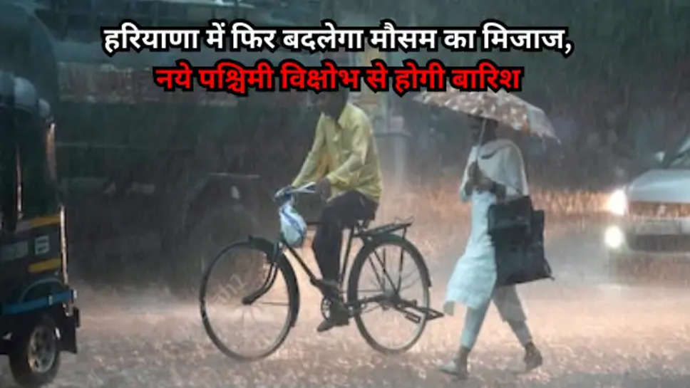 haryana weather update 