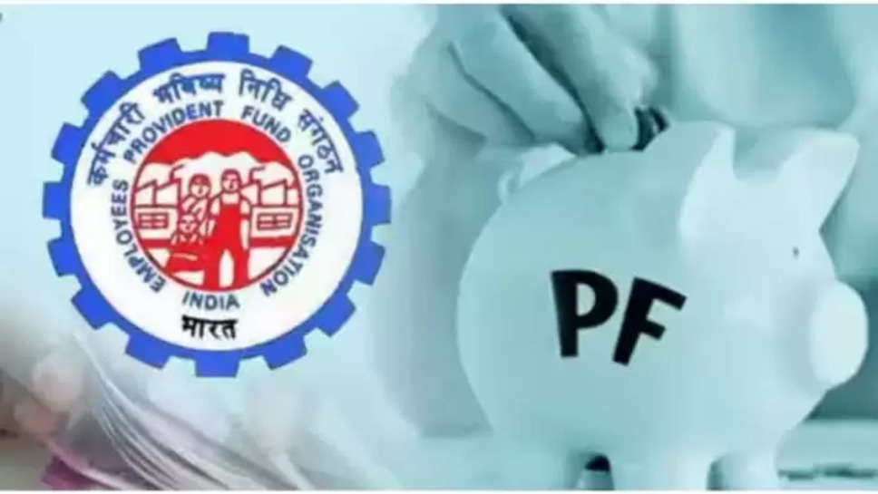 epfo ,pf account ,errors , PF account, simple steps for pf correction, EPFO released SOP, easy methods to Correcting mistakes in PF account, personal finance news, latest personal finance news, latest personal finance news hindi, business news, business news hindi, latest business news hindi, business news hindi ,हिंदी न्यूज़ ,