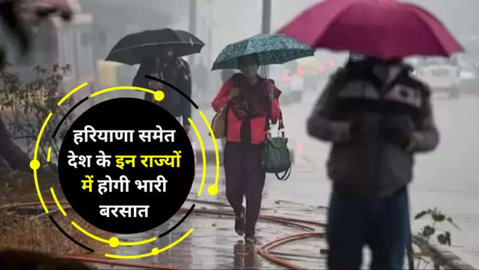 haryana weather update 