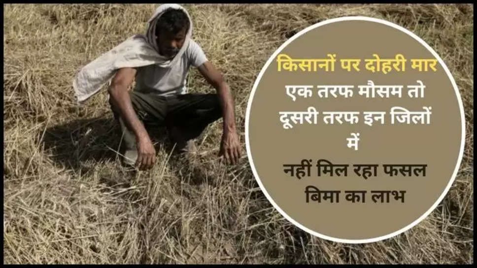 haryana ,pm fasal bima ,haryan Government ,khareef crops ,sirsa ,hisar ,karnal ,kurukshetra ,fasal bima ,crops Insurane ,haryana News ,haryana fasal bima ,haryana fasal bima News ,फसल बिमा योजना ,फसल बिमा योजना का लाभ, हरियाणा में फसल बिमा,खरीफ फसल, खरीफ फसलों का बिमा नहीं, खरीफ फसलों का नहीं होगा बिमा, crops insurance in Haryana ,हरियाणा ,हरियाणा सरकार, fasal bima News in hindi ,हरियाणा में किन जिलों में फसल बिमा का मिल रहा लाभ,हिंदी न्यूज़, haryana Latest news ,haryana breaking news , 