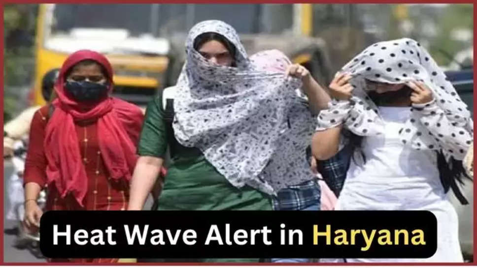 imd ,alert ,haryana ,heat wave ,rain ,weather ,temperature ,hisar ,sirsa ,rohtak ,ambala ,haryana weather forecast ,haryana news ,haryana news today ,today haryana news ,imd heat wave alert haryana ,heat wave news ,हरियाणा ,हरियाणा न्यूज़ ,हरियाणा में आज मौसम ,आज हरियाणा का मौसम ,मौसम विभाग, मौसम समाचार, मौसम खबर, मौसम की जानकारी,हिंदी न्यूज़, weather update ,