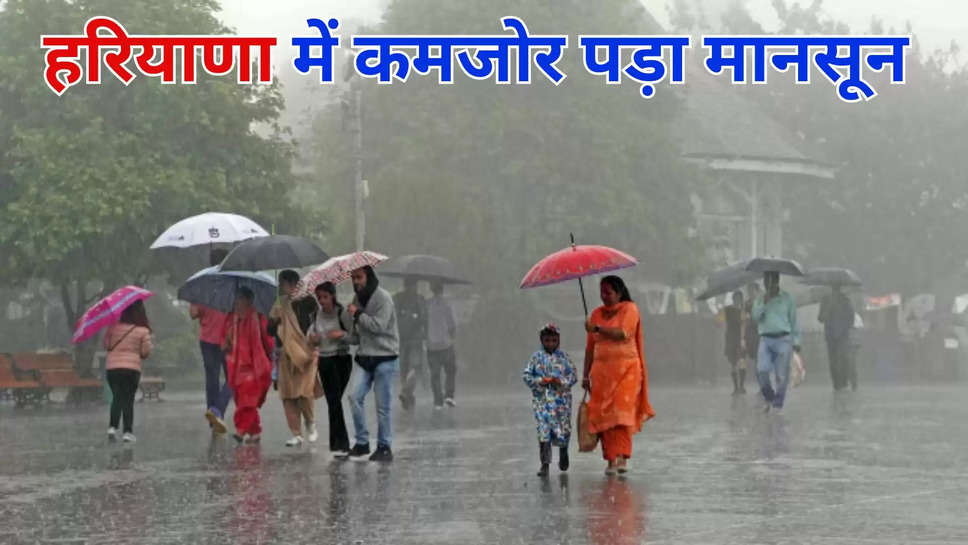 haryana ,weather ,imd alert ,rain ,monsoon ,temperature ,Weather Update, Rain, Rain In Haryana,Haryana Rain,Weather, Weather News, Delhi, haryana news ,हरियाणा, हरियाणा में मानसून, haryana weather news ,haryana weather update ,haryana weather forecast ,हिंदी न्यूज़, haryana Monsoon update ,IMD Predictions ,मौसम खबर,मौसम समाचार, मौसम की जानकारी, मौसम विभाग ,today haryana weather ,mausam update ,