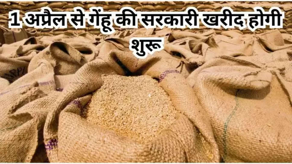 haryana , yamunanagar , wheat , wheat procurement , radaur , government procurement , हरियाणा , haryana news , haryana breaking news , yamunanagar news , radaur news , गेंहू की सरकारी खरीद , गेंहू की सरकारी खरीद शुरू , haryana News today , 