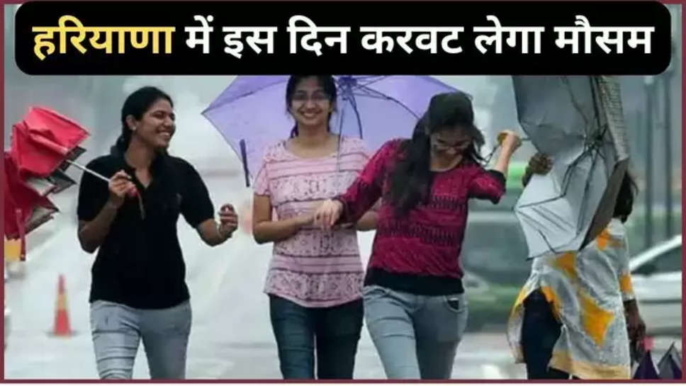 haryana ,rain ,monsoon ,update ,weather ,heat wave , imd ,alert , punjab ,haryana weather update , haryana weather news ,haryana weather forecast ,today Haryana weather ,monsoon update ,mausam update ,मौसम की जानकारी, मौसम खबर, मौसम समाचार, हिंदी न्यूज़, haryana news in Hindi ,हरियाणा, हरियाणा में मौसम, आज बारिश ,क्या आज बारिश होगी ,बारिश कब होगी, mausam ka latest update ,imd heat wave alert ,लू की चेतावनी,punjab weather update ,