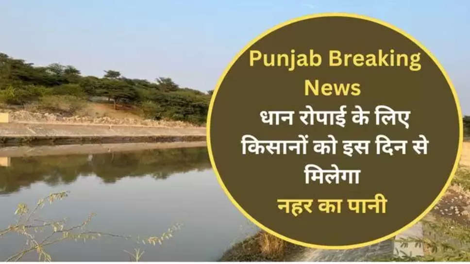 punjab ,paddy ,cultivation ,transplantation ,canal water ,punjab government ,bhagwant singh mann ,sowing ,punjab news ,punjab news today ,punjab breaking news today ,punjab government News ,पंजाब सरकार का एलान, किसानों को मिलेगा नहर का पानी, paddy sowing In punjab ,paddy sowing ,paddy cultivation ,canal water for irrigation ,canal water for paddy sowing ,पंजाब ,पंजाब खबर, पंजाब की ताज़ा खबरें, cm mann ,cm bhagwant singh mann ,हिंदी न्यूज़,