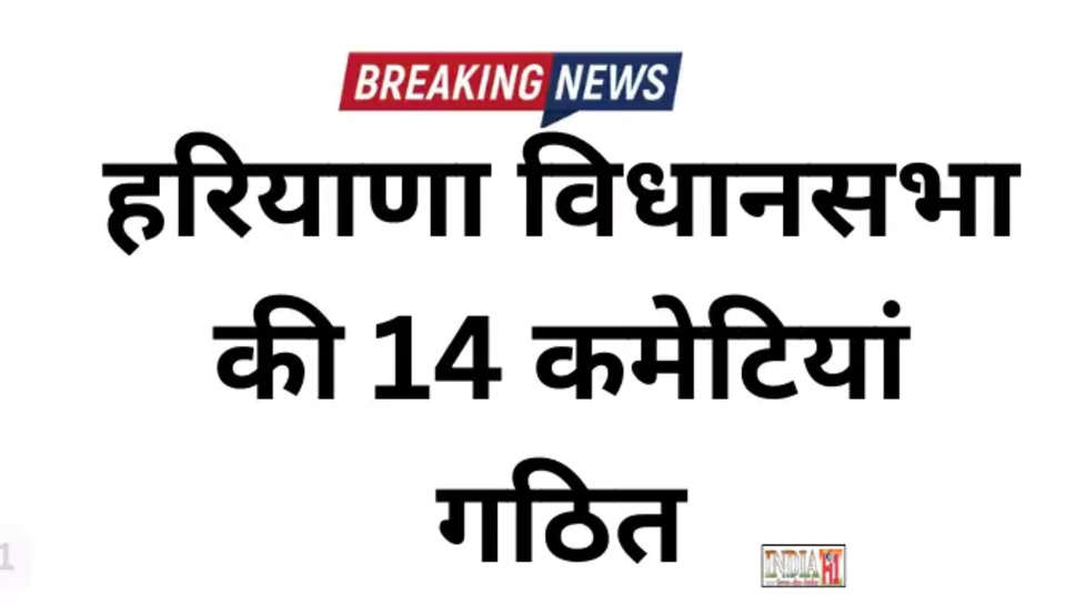 haryana news