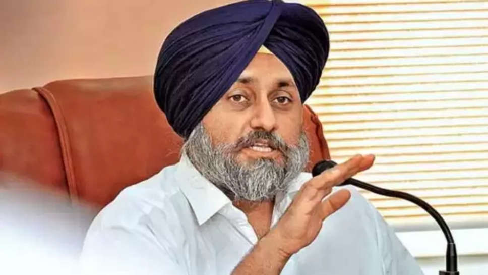 sad ,punjab ,sad punjab ,adesh partap singh kairon ,lok sabha election 2024 ,Khadoor Sahib ,Shiromani Akali Dal ,partap singh kairon ,adesh partap singh kairon ,punjab , suspended ,adesh partap singh kairon news ,breaking news , 