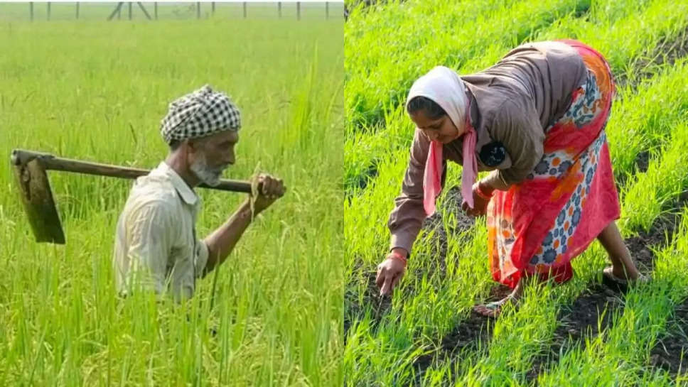  farmers and laborers