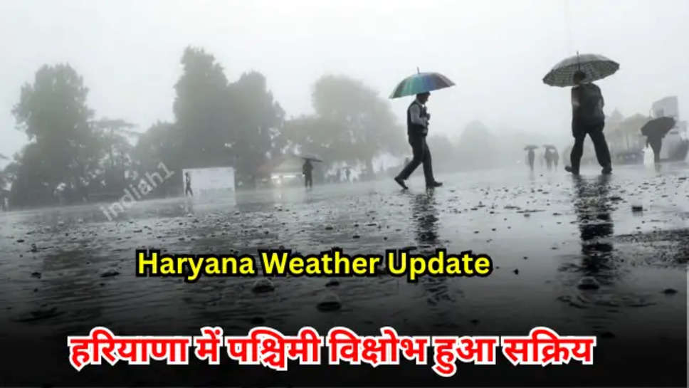 Haryana Weather Update