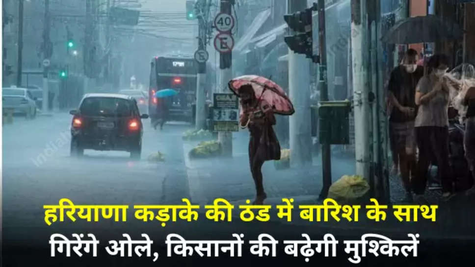 Haryana Rain News