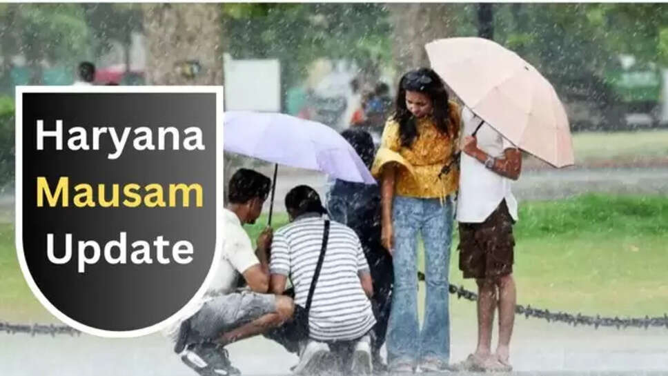 IMD ,rain ,alert ,haryana ,weather ,haryana weather update ,imd rain alert ,imd rain alert today ,imd rain alert haryana ,haryana news ,haryana weather news ,haryana weather forecast ,haryana weather today ,today haryana weather ,haryana mausam ,haryana mausam update ,मौसम का हाल ,मौसम की जानकारी, क्या आज बारिश होगी, हरियाणा में बारिश कब होगी, क्या आज हरियाणा में बारिश होगी, हिंदी न्यूज़, मौसम खबर, मौसम समाचार, latest weather updates in Hindi , 