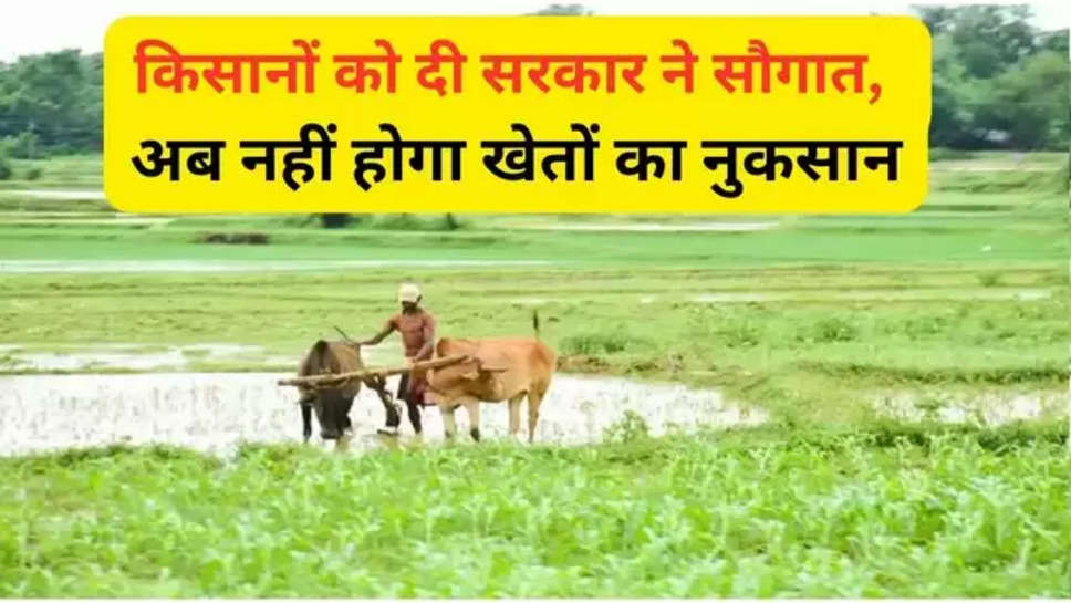 yogi government , cm yogi ,up government ,farmers ,farmers scheme , uttar pradesh ,CM Khet Suraksha Yojana , cm krishi suraksha yojana , up farmers scheme ,up government farmers scheme ,farmers scheme by up government ,हिंदी न्यूज़, सरकारी योजनाएं , मुख्यमंत्री कृषि सुरक्षा योजना ,up news ,uttar pradesh news ,