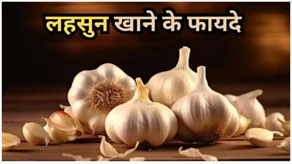 garlic ,benefits ,lehsun ,health tips ,heath care ,Health Benefits Of Garlic, Garlic Health Benefits, Garlic Benefits, Benefits of Garlic , benefits of raw garlic ,raw garlic benefits ,कच्चे लहसुन के फायदे, लहसुन के फायदे, health care In Hindi ,health tips in hindi ,lifestyle ,हिंदी न्यूज़, लहसुन खाने के फायदे,