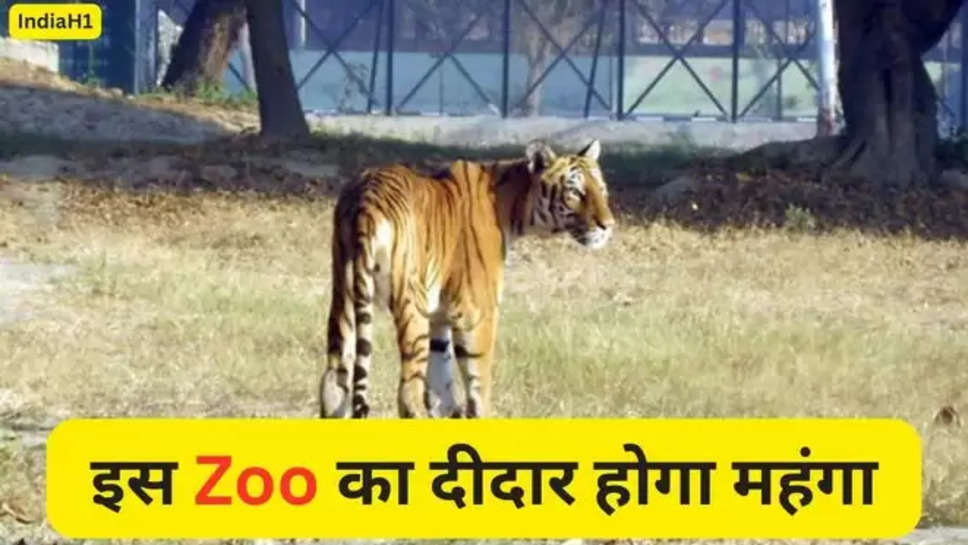 Wild animals in zoo, bhiwani mini zoo, new ticket rates for zoo, haryana ,wild animals in bhiwani zoo, bhiwani mini zoo location, bhiwani mini zoo time, bhiwani mini zoo route, bhiwani mini zoo update, bhiwani mini zoo animal, bhiwani news, Bhiwani News in Hindi, Latest Bhiwani News in Hindi, Bhiwani Hindi Samachar, चिड़ियाघर में जंगली जानवर, भिवानी मिनी चिड़ियाघर, चिड़ियाघर के लिए नई टिकट दरें, भिवानी चिड़ियाघर में जंगली जानवर, भिवानी मिनी चिड़ियाघर का स्थान, भिवानी मिनी चिड़ियाघर का समय, भिवानी मिनी चिड़ियाघर मार्ग, भिवानी मिनी चिड़ियाघर अपडेट, भिवानी मिनी चिड़ियाघर के जानवर, भिवानी समाचार,