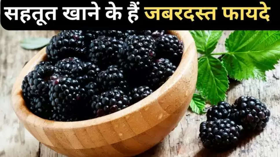 mulberry health benefits , mulberry benefits , summer super food ,health benefits of mulberry , is mulberry good for health , mulberry fruits health benefits , dried mulberries benefits , what is mulberries good for , how many mulberries should eat a day , are mulberries a superfood , is mulberry good for skin , how to eat mulberry , सहतूत के फायदे , summer fruits ,health tips in hindi ,हिंदी न्यूज़ ,