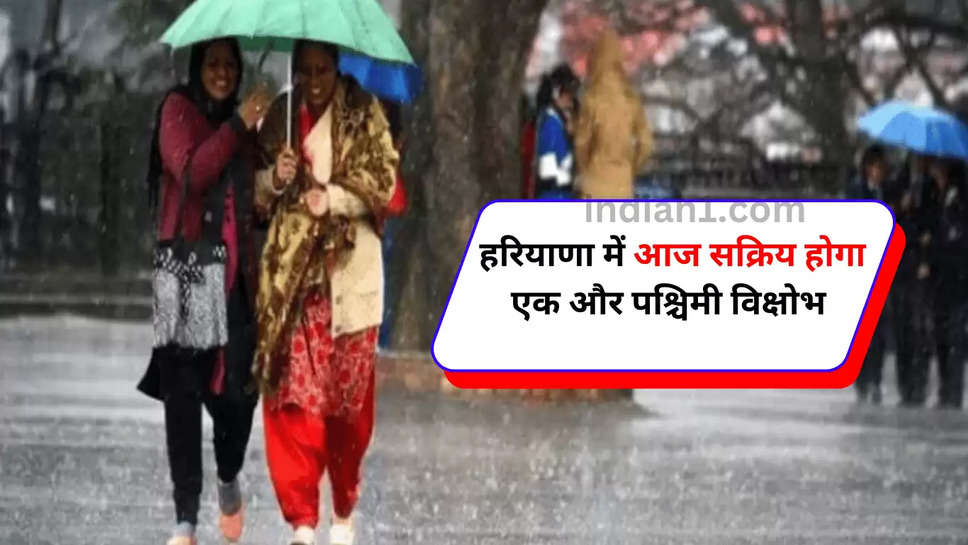 Haryana weather update