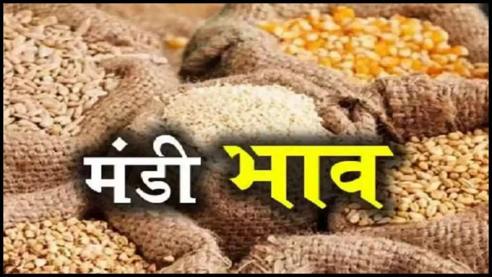 rajasthan ,jaipur ,merta ,tonk ,sikar ,jodhpur ,kota ,mandi ,mandi bhav ,mandi rates ,price ,rate ,5 August 2024 , monday ,cotton ,sarson ,mustard ,lehsun ,garlic ,onion ,kapaas ,jeera ,chana price today jaipur ,garlic price in jaipur mandi today ,garlic price in kota mandi today ,garlic price in rajasthan today ,onion price in jaipur ,potato price in jaipur mandi today ,Rajasthan Mandi Bhav ,Rajasthan market price ,today mustard price in jaipur mandi ,अनाज मंडी भाव ,किसान मंडी भाव ,जोधपुर मंडी भाव ,मंडी भाव आज ,मंडी भाव राजस्थान Today 2024 ,राजस्थान मंडी भाव। राजस्थान मंडी भाव चना ,राजस्थान मंडी भाव टुडे,ग्वार का भाव,आज सरसों का भाव,mustard price today ,today mustard rate ,