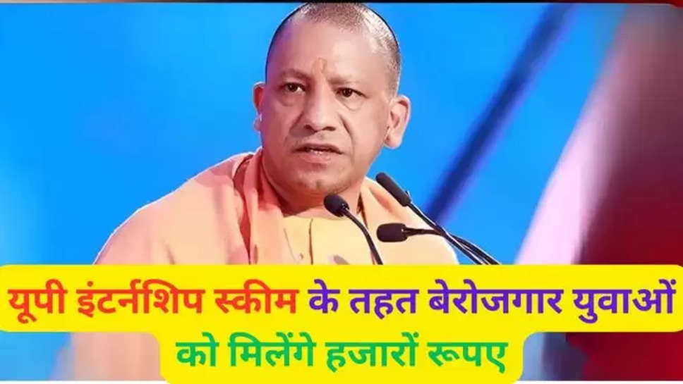 UP government , UP internship scheme, UP government internship , yogi government,  यूपी इंटर्नशिप स्कीम, यूपी इंटर्नशिप योजना , uttar pradesh , up government , up govt schemes , schemes for unemployed , govt schemes 2024 , up government schemes 2024 , hindi news ,  