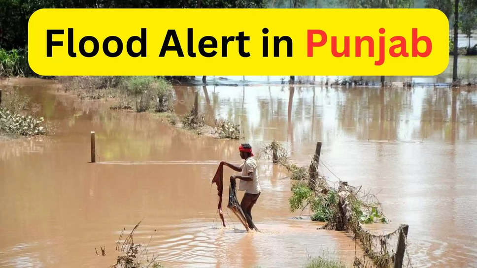 punjab ,weather ,monsoon ,rain ,flood ,alert ,imd ,control room ,punjab news ,punjab breaking news ,punjab rain ,rain In punjab ,monsoon In punjab ,punjab flood ,flood In punjab ,flood alert ,punjab flood alert ,flood alert control room ,flood control room , flood helpline number ,helpline Number ,हिंदी न्यूज़, punjab rain alert ,imd rain alert punjab ,punjab trending news ,punjab viral news ,पंजाब में बाढ़ , punjab men baadh ka alert ,