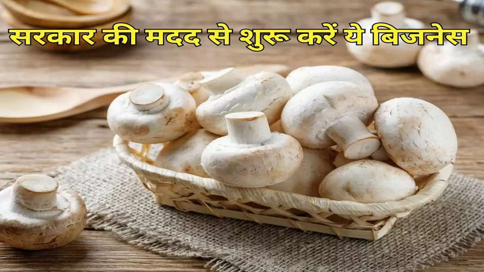 सरकार की मदद से शुरू करें ये बिजनेस