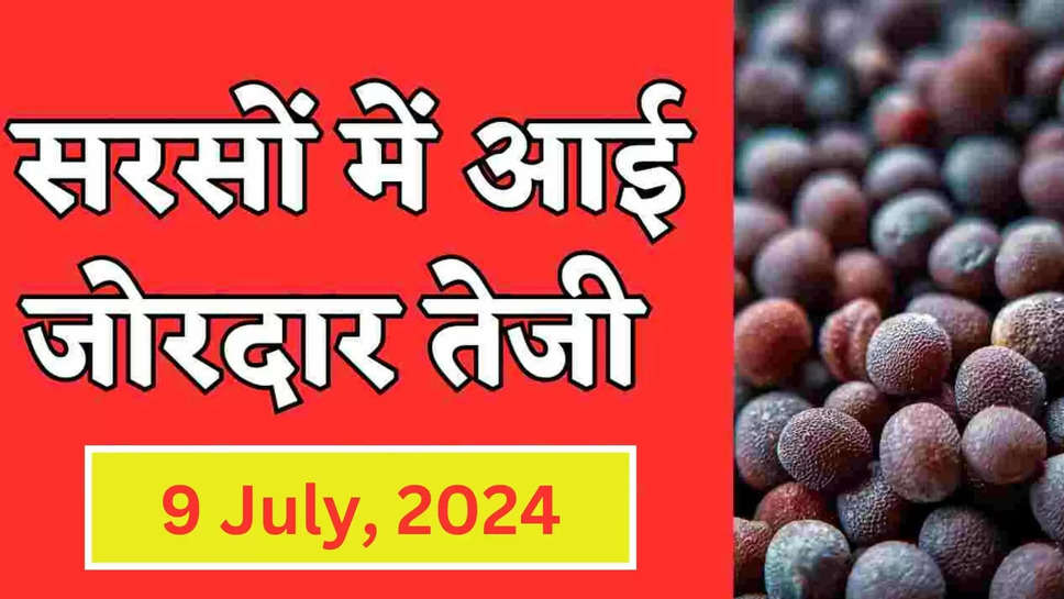 sarson ,mustard ,price ,rate ,anaj mandi ,aaj ka mandi bhav ,mandi bhav ,market price ,aaj sarson ka bhav ,sarson ka mandi bhav ,8 july Ko sarson ka mandi bhav ,haryana ,uttar pradesh ,madhya pradesh ,mumbai ,bihar ,rajasthan ,mandi adampur men sarson ka bhav ,aaj ka mandi bhav ,9 july ka mandi bhav ,8 july ka mandi bhav ,आज का मंडी भाव, mandi bhav today ,todays mandi bhav ,हिंदी न्यूज़,mustard price today ,today mustard rate ,mustard rate today ,mustard market price today ,