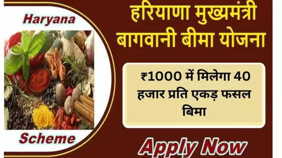 Bhavantar Bharpaii Yojana by Haryana, Bhavantar Bharpaii Yojana Haryana start date, Bhavantar Bharpaii Yojana status, Bhavantar Bharpaii Yojana haryana amount, Haryana news, Haryana Govt news, भावांतर भरपाई योजना हरियाणा, भावांतर भरपाई योजना हरियाणा की स्थिति, भावांतर भरपाई योजना हरियाणा राशि, हरियाणा समाचार, हरियाणा सरकार समाचार, haryana baghwani bima yojana , haryana , 