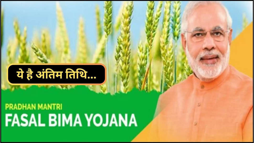 pm fasal bima yojana ,last date ,farmers ,khareef fasal ,haryana ,Fasal Bima Yojana, Crop Insurance Policy news, Crop Insurance Policy hindi, Fasal Bima Yojana hindi news, haryana news, haryana hindi news, Fasal Bima Scheme, haryana farmers news ,,Haryana news ,हिंदी न्यूज़,फसल बीमा,फसल बीमा योजना, प्रधानमंत्री फसल बीमा योजना,