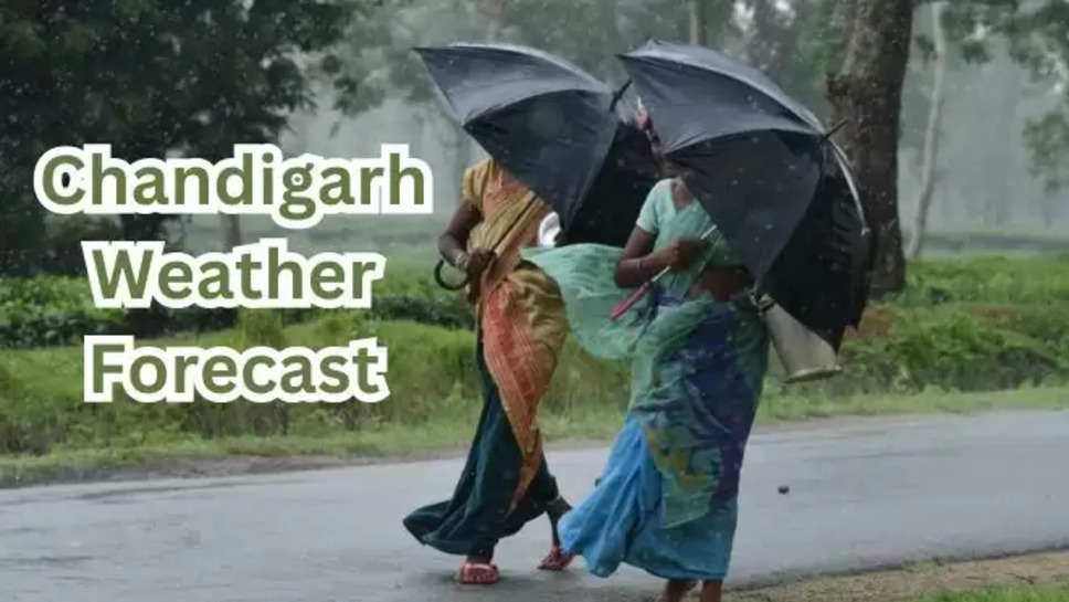 chandigarh ,weather ,rain , chandigarh news ,chandigarh weather report ,chandigarh weather today ,chandigarh temperature today ,chandigarh rain today ,chandigarh weather forecast today ,chandigarh weather news ,चंडीगढ़ में आज बारिश ,क्या आज बारिश होगी ,rain alert in chandigarh ,friday weather update ,मौसम विभाग, मौसम खबर, मौसम की ताज़ा खबरें , latest weather update ,latest weather update in hindi ,हिंदी न्यूज़ , मौसम की जानकारी, 