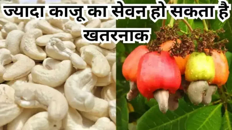 cashew nuts ,benefits ,side effects ,काजू खाने के फायदे ,काजू खाने के नुक्सान,health tips ,health tips in hindi ,cashew nuts benefits ,cashew nuts side effects ,ज्यादा काजू खाने के नुक्सान,Side Effects of Cashew Nuts , हिंदी न्यूज़ ,health news ,health news in hindi , 