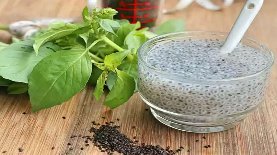 tulsi seed