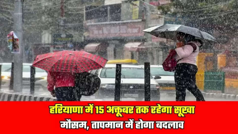 Haryana Weather News