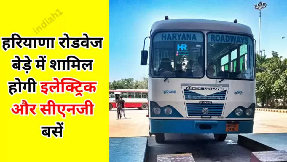 Haryana Roadways Cng Bus