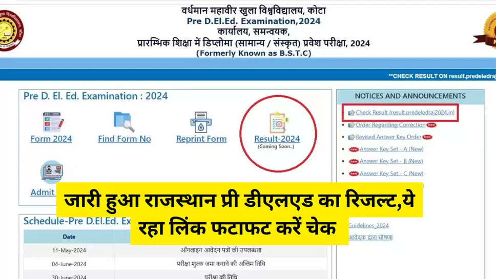 Rajasthan Pre DElEd Result Release