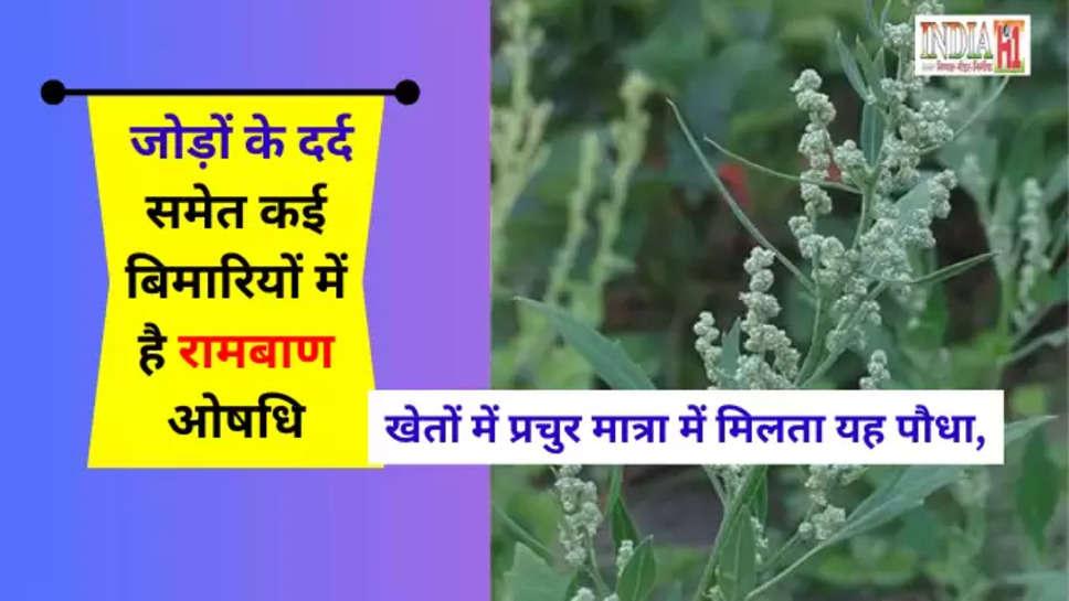 haryana farmer news