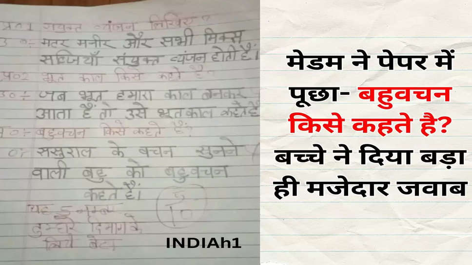 मेडम ने पेपर में पूछा- बहुवचन किसे कहते है? बच्चे ने दिया बड़ा ही मजेदार जवाब