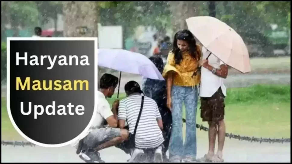 haryana ,weather ,imd alert ,heavy rain ,monsoon ,flood ,orange alert ,haryana news ,haryana weather news ,haryana weather update ,haryana weather forecast ,haryana rain alert ,haryana rain ,rain in haryana ,हिंदी न्यूज़,हरियाणा,हरियाणा खबर,haryana Flood ,haryana Monsoon updates ,मौसम विभाग,मौसम की जानकारी,मौसम समाचार,मौसम खबर, मौसम की जानकारी,haryana weather today ,haryana temperature today ,