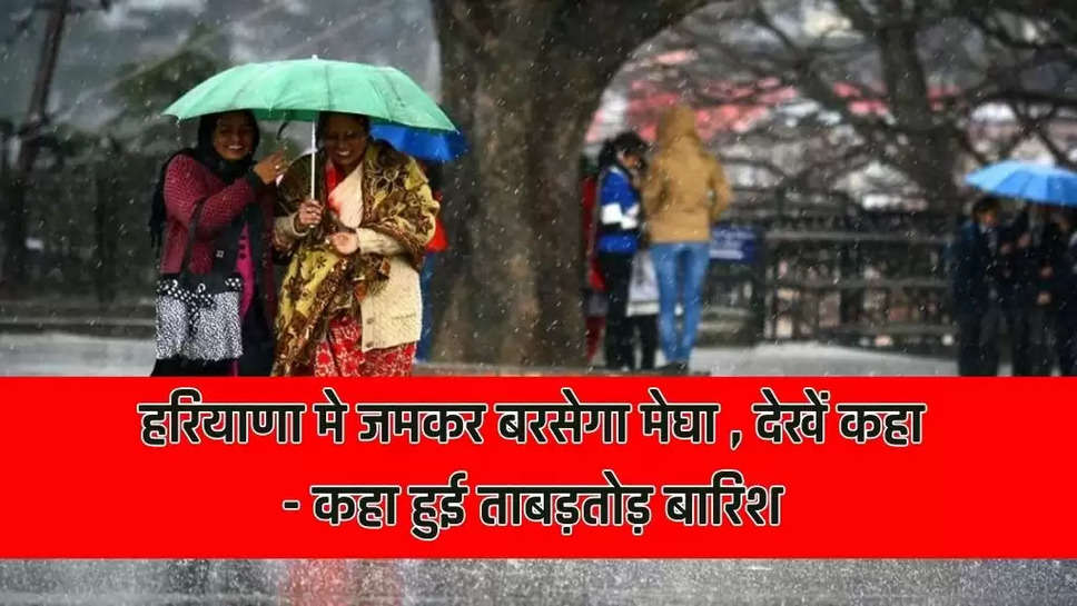 हरियाणा मे जमकर बरसेगा मेघा , देखें कहा  - कहा हुई ताबड़तोड़ बारिश 