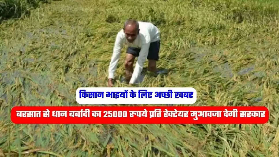 Kisan News