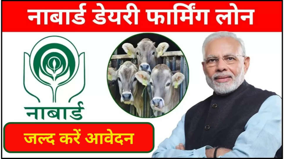 loan ,Dairy Farm ,dairy farming ,agriculture ,kisan ,farmers ,subsidy ,government ,nabard ,Nabard Dairy Farm Loan, Dairy Farm Loan, how to apply for Dairy Farm Loan, Nabard, nabard loan scheme, diary farming , subsidy on dairy farming, farming news, cow farming, dairy, how to get subsidy on dairy farming ,हिंदी न्यूज़, खेती बाड़ी ,farmers news ,agriculture news ,