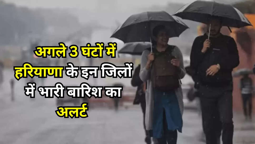 haryana weather alert 