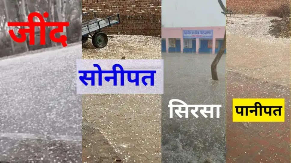 haryana weather update 