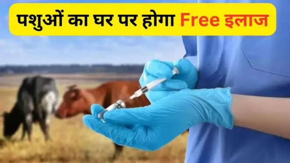 haryana , sirsa , mobile veterinary van , treatment ,sirsa News , haryana news ,haryana government , पशुओं का घर बैठे होगा इलाज , हरियाणा ,हरियाणा खबर, haryana latest news ,sirsa News today ,sirsa Latest news , veterinary van in sirsa , mobile veterinary van services in Haryana ,mobile veterinary service In sirsa , hisar ,